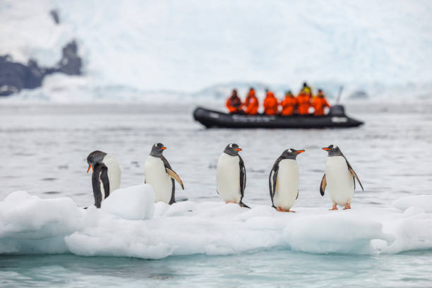 Antarctica in Depth