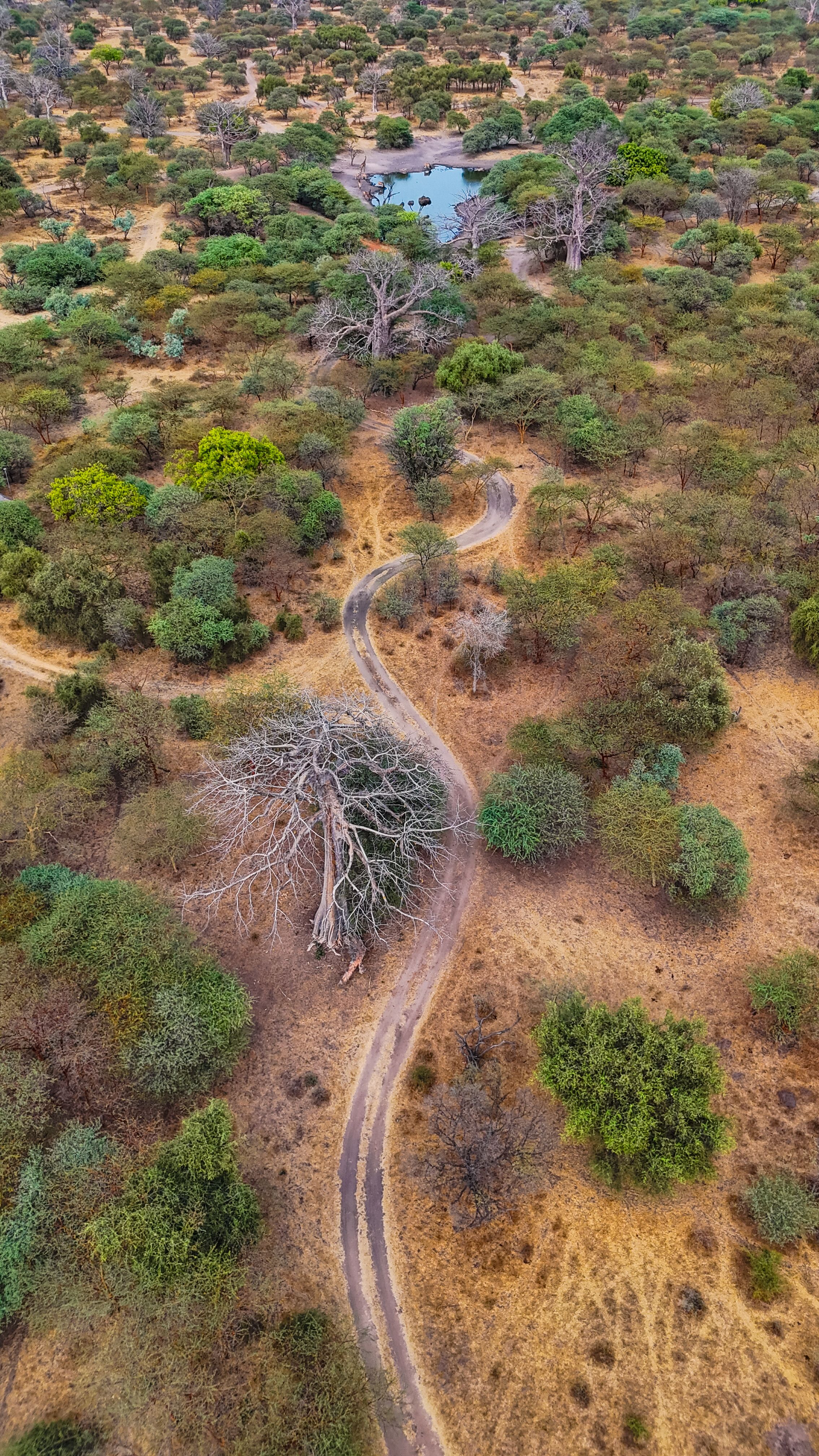 Botswana