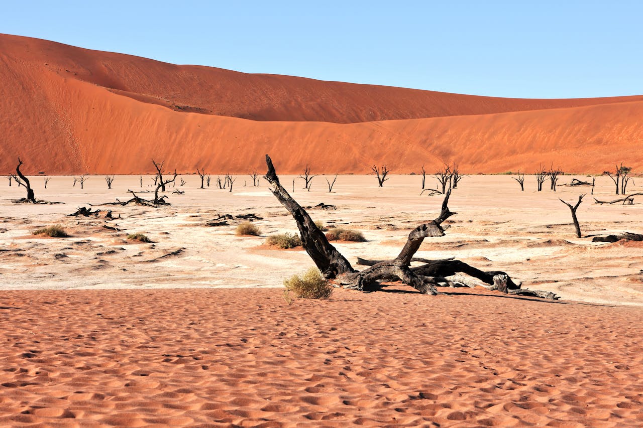 Sossusvlei