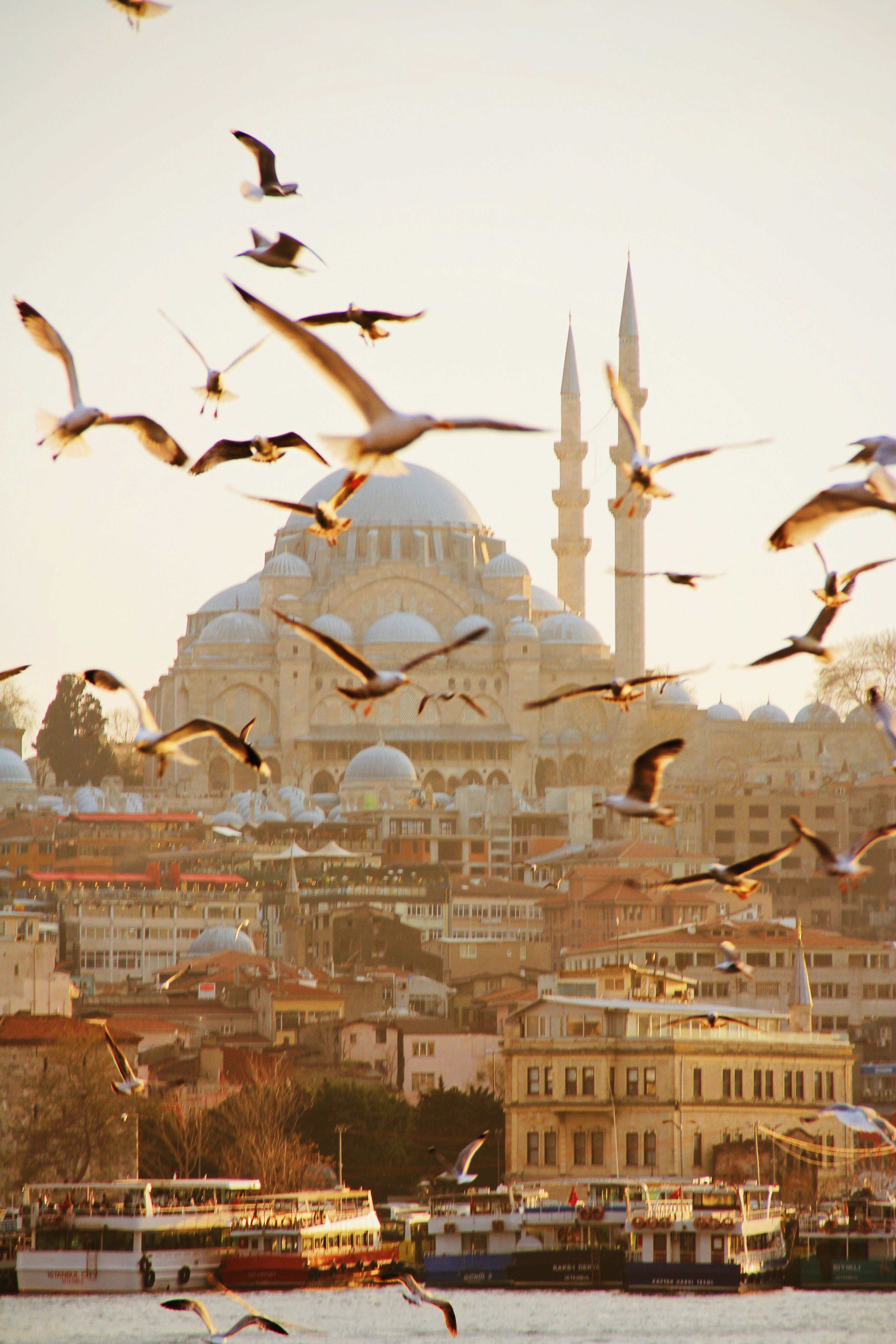 Turkey