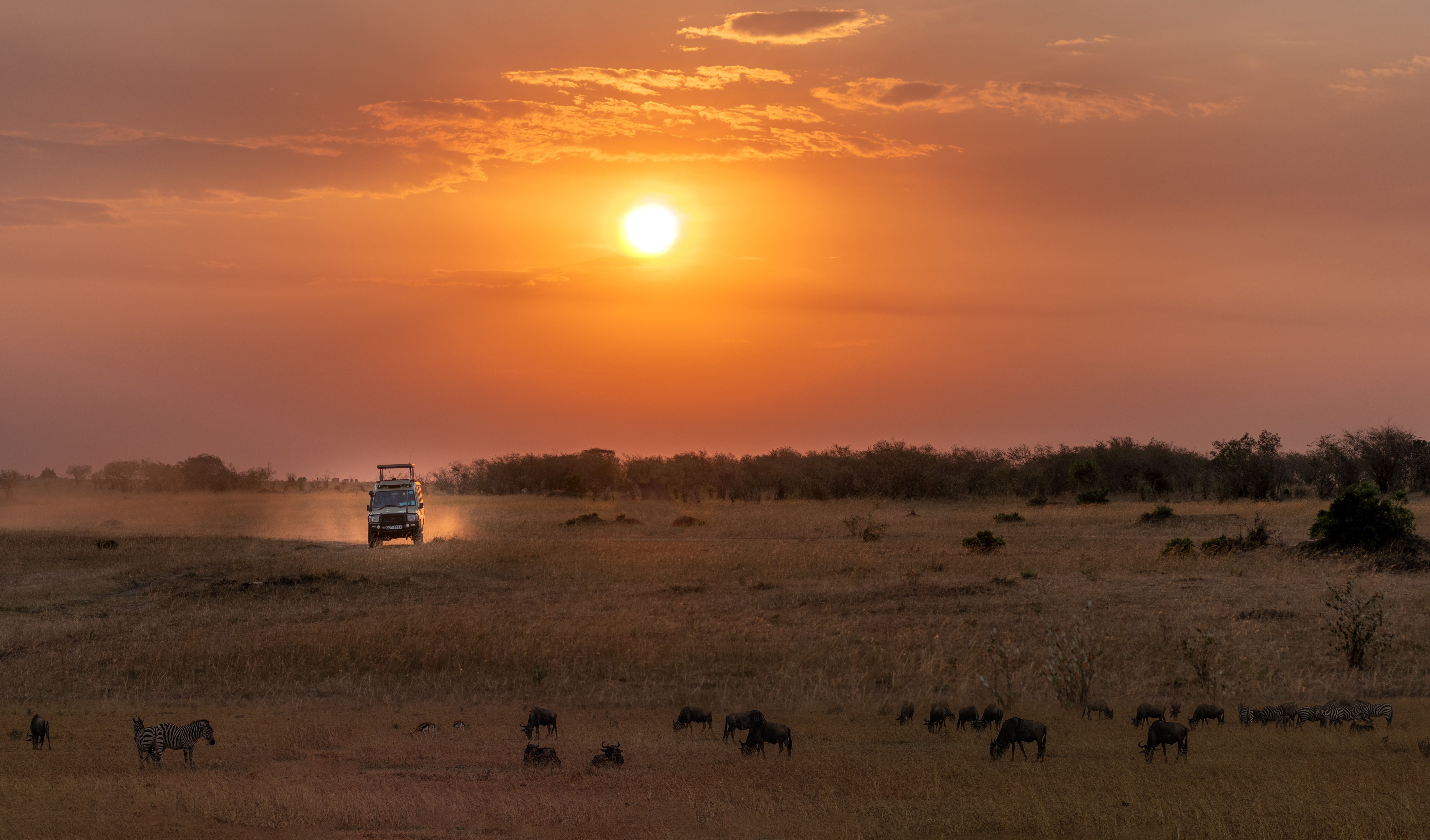 Zambia