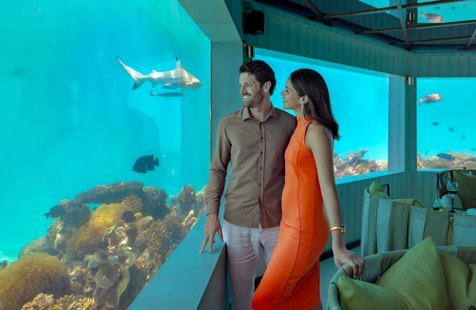 Dine six metres down at M6m — the activity/scene in action. The underwater restaurant, six metres below the lagoon.
