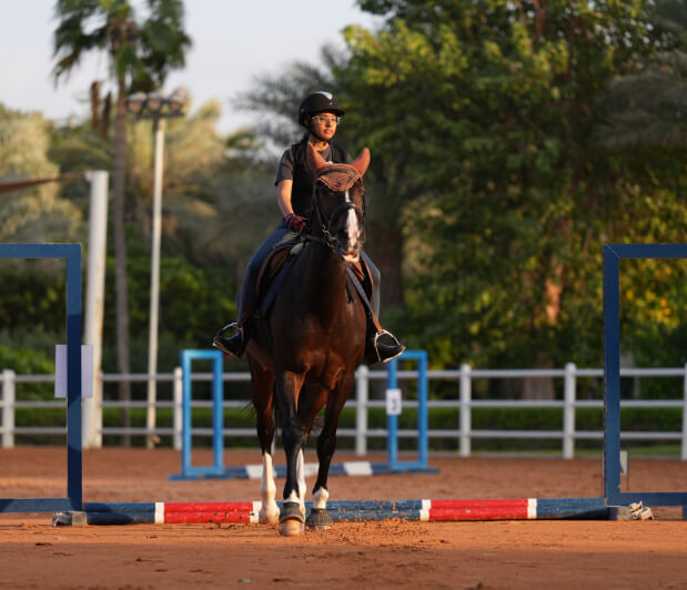 JA Equestrian Centre: Air-conditioned stables and lessons.