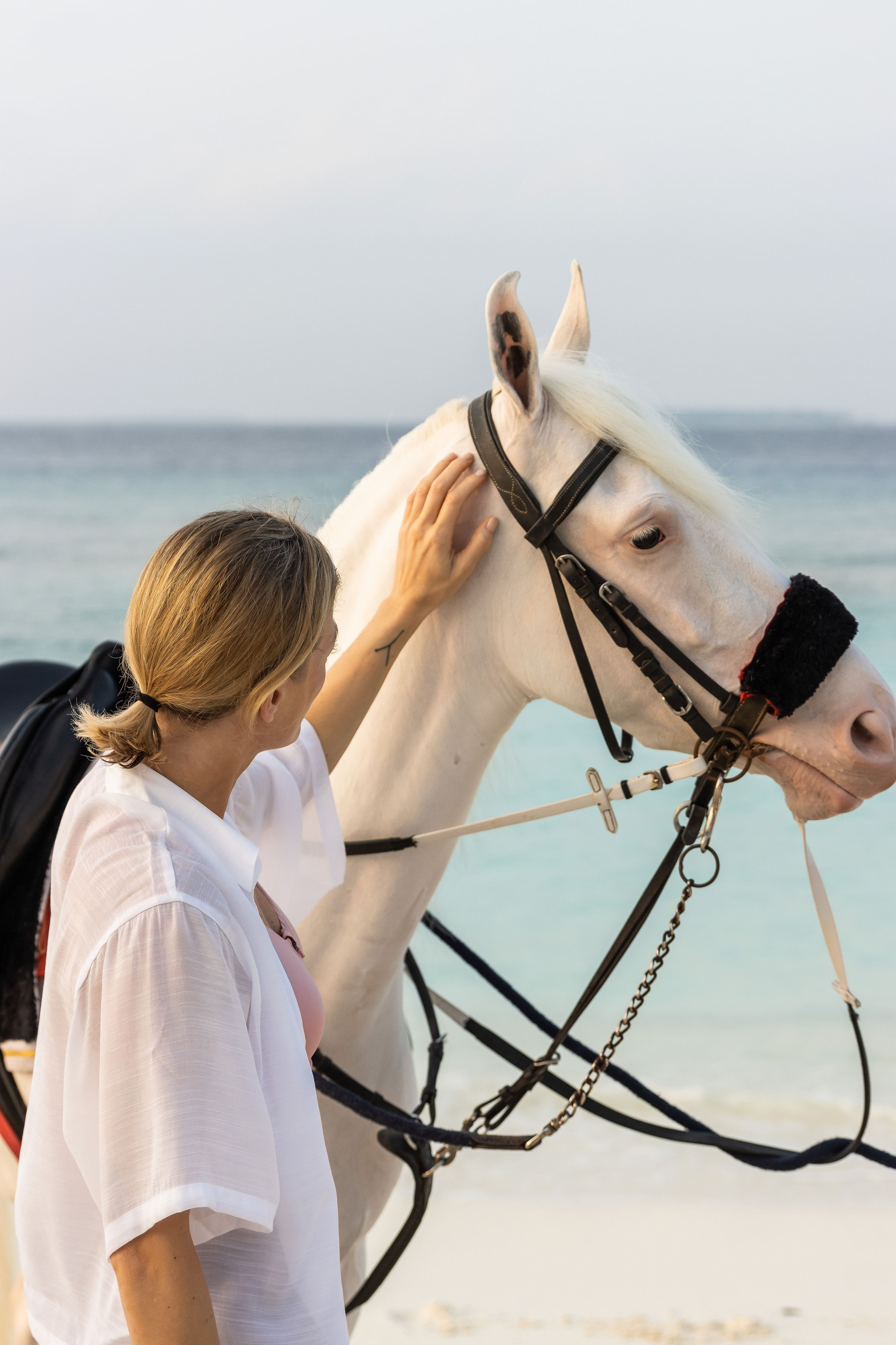 The Maldives' only horse ranch — the activity/scene in action. A ranch of Marwari horses, unique among Maldives resorts.