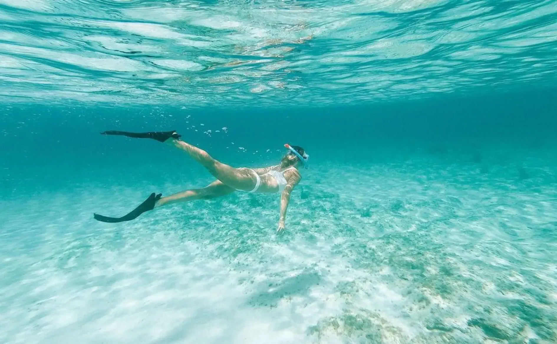 Wall diving: World-class, from the beach.