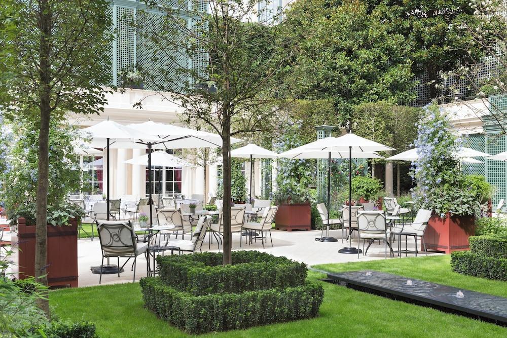 Experience: The courtyard garden