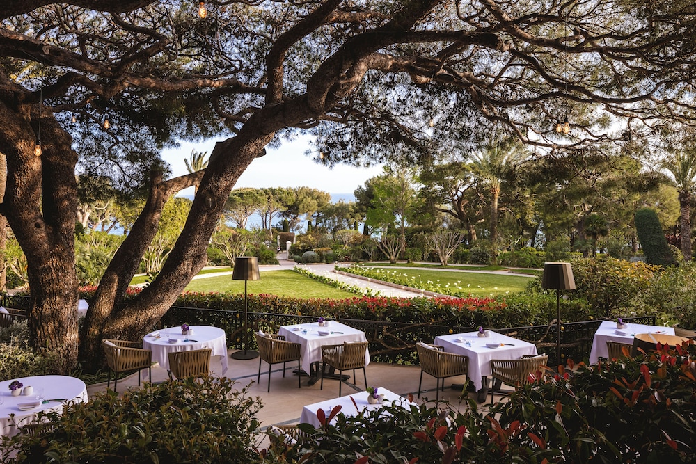 Experience: Michelin-starred Le Cap