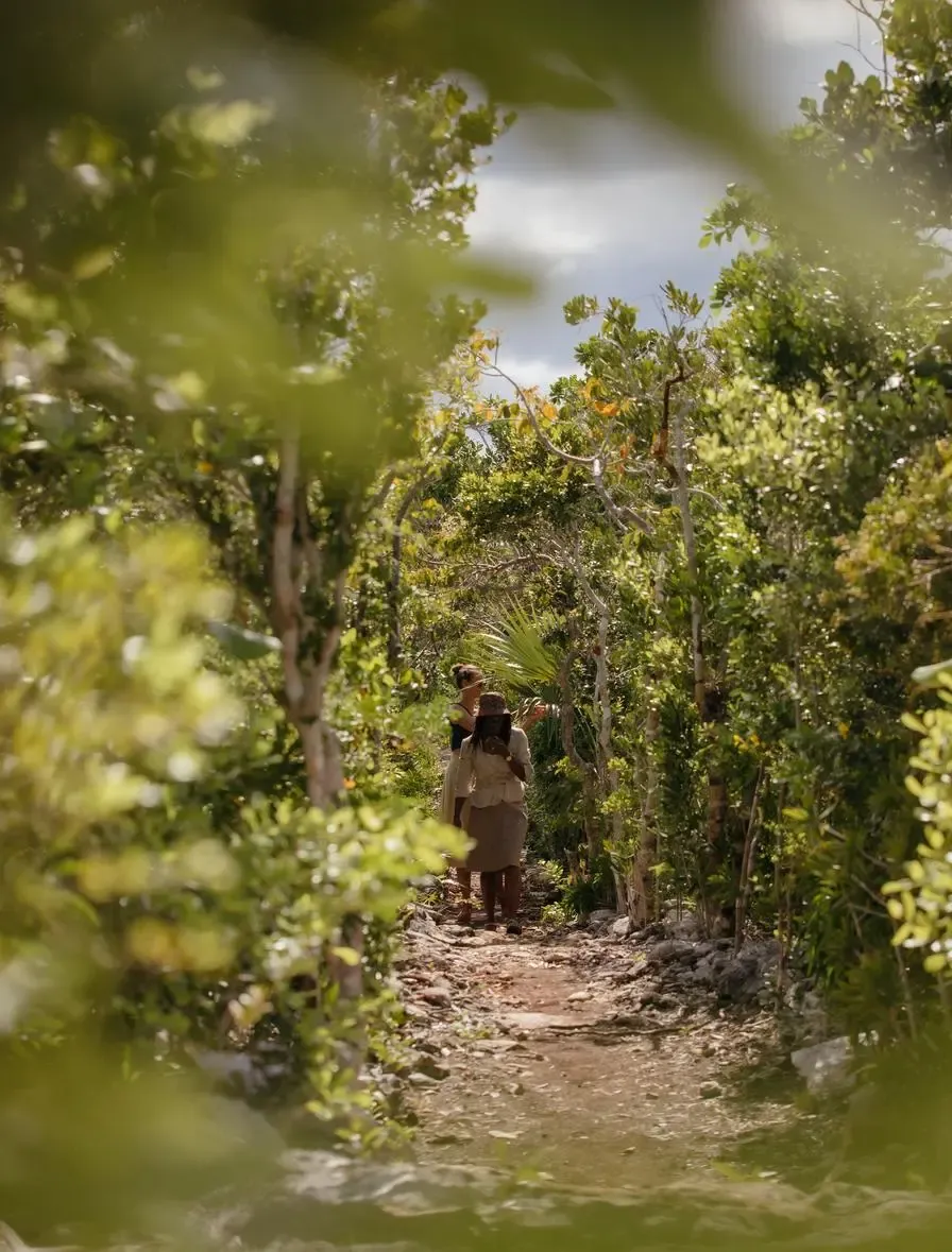 Nature reserve: 18,000 acres of seclusion.