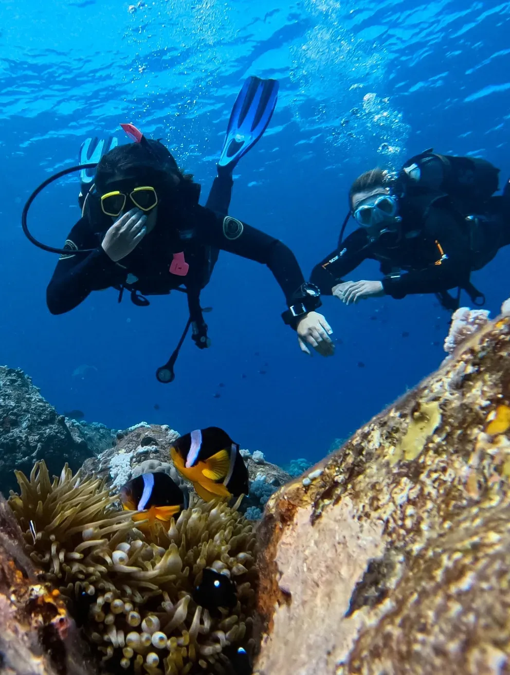 Kitesurfing and diving — the activity/scene in action. A watersports centre with kitesurfing and PADI diving.