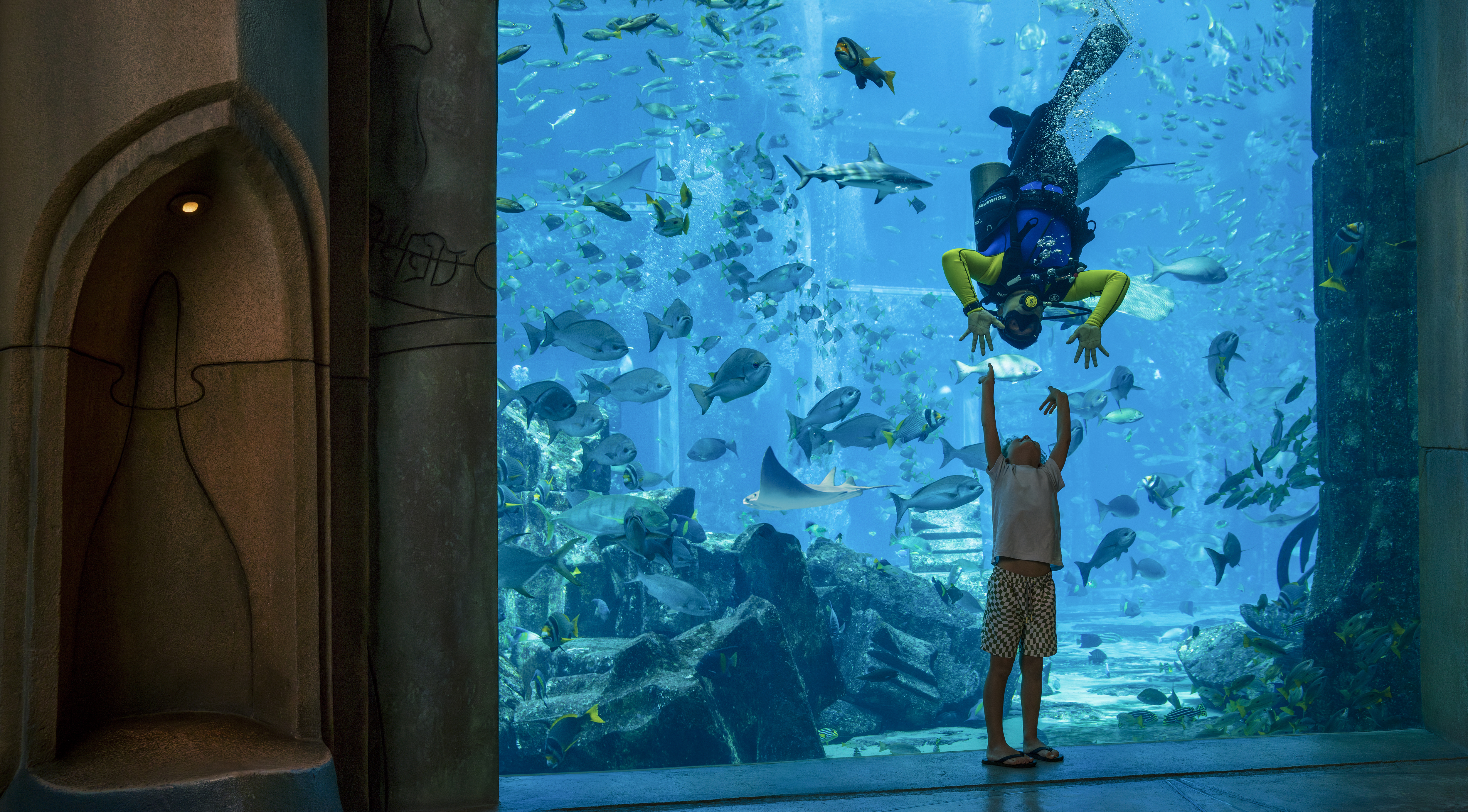 The Lost Chambers Aquarium: 65,000-plus marine animals.