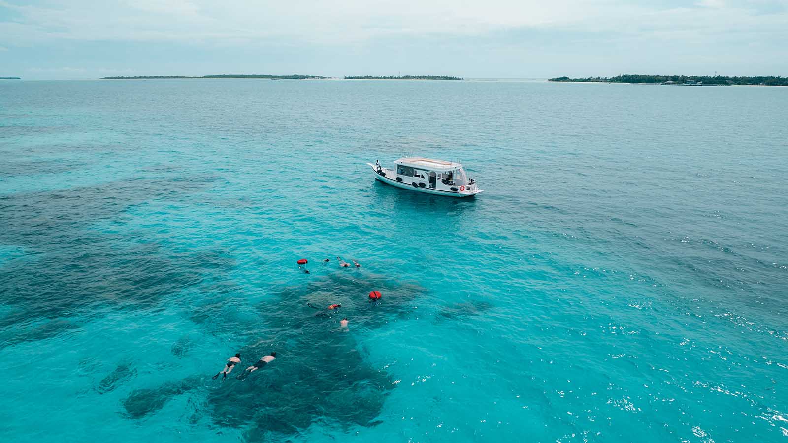 Diving for every level — the activity/scene in action. 60-plus dive sites with full Prodivers support and safety infrastructure.