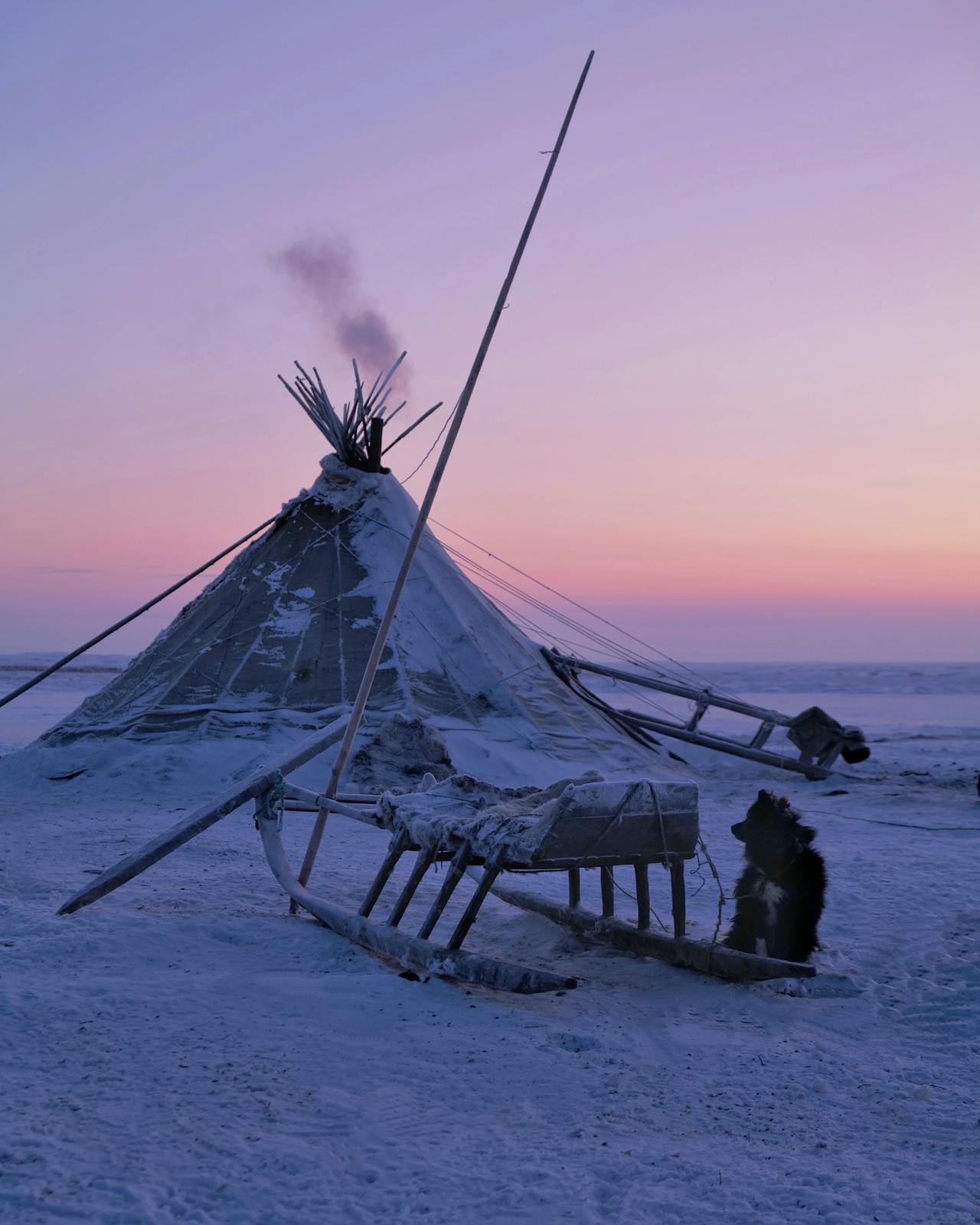 Encounters with Inuit communities, the sites of the doomed Franklin expedition, and the human story of survival in the harshest…