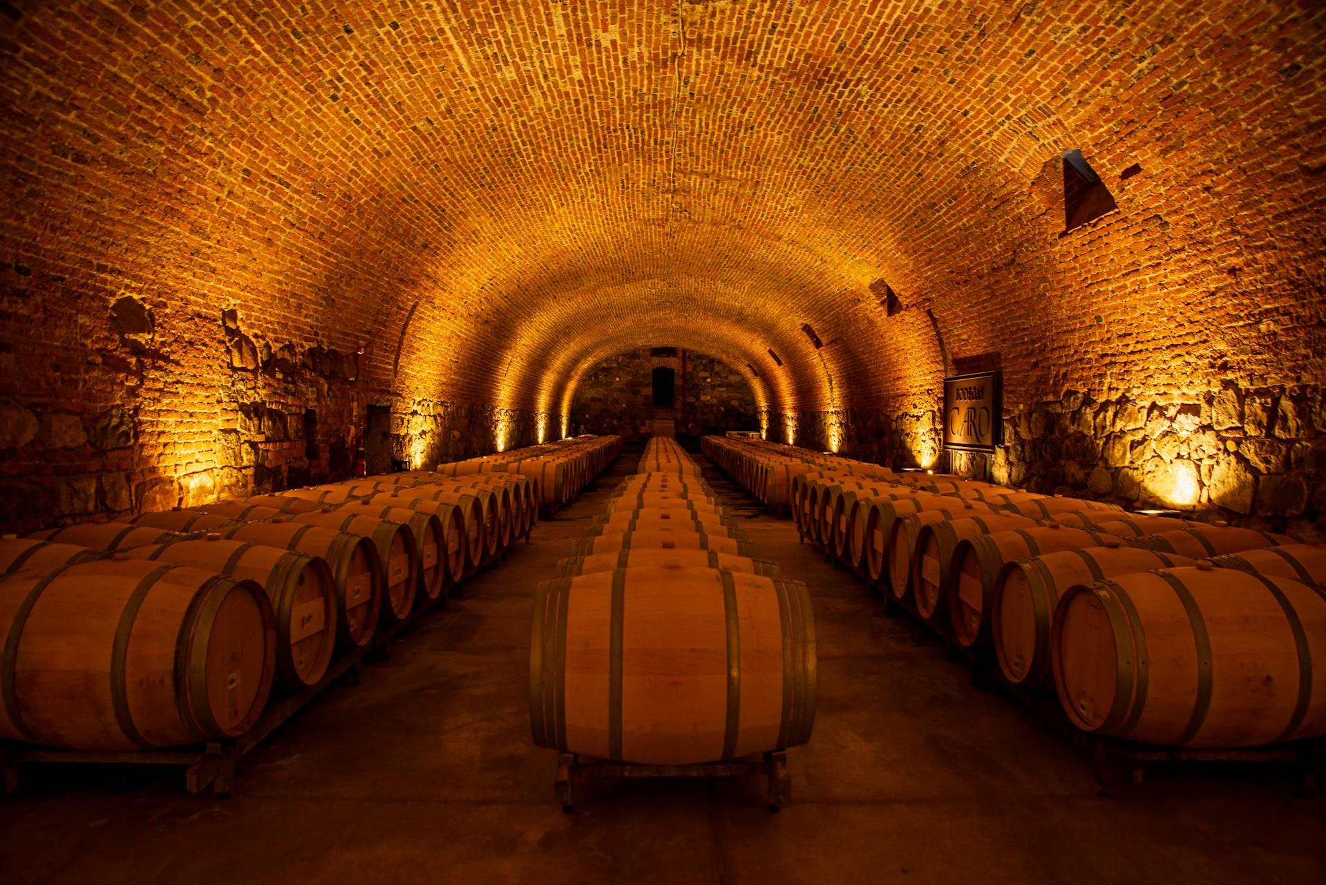The home of Malbec, with vineyards beneath the snow-capped Andes