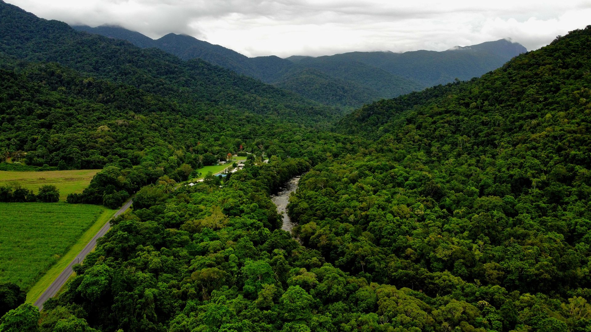 The world's oldest rainforest meeting the reef at Cape Tribulation
