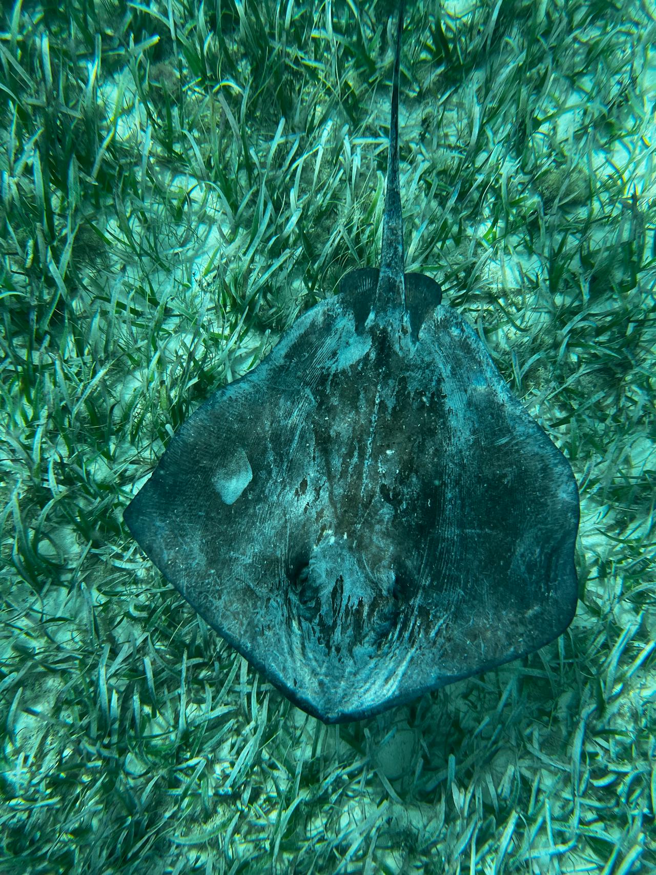 The second-largest barrier reef in the world, just offshore