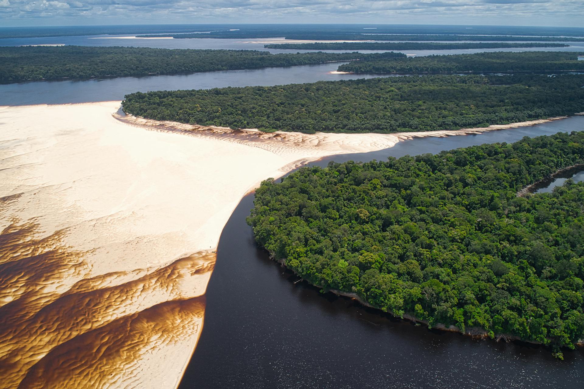 River journeys and rainforest lodges deep in the world's greatest forest