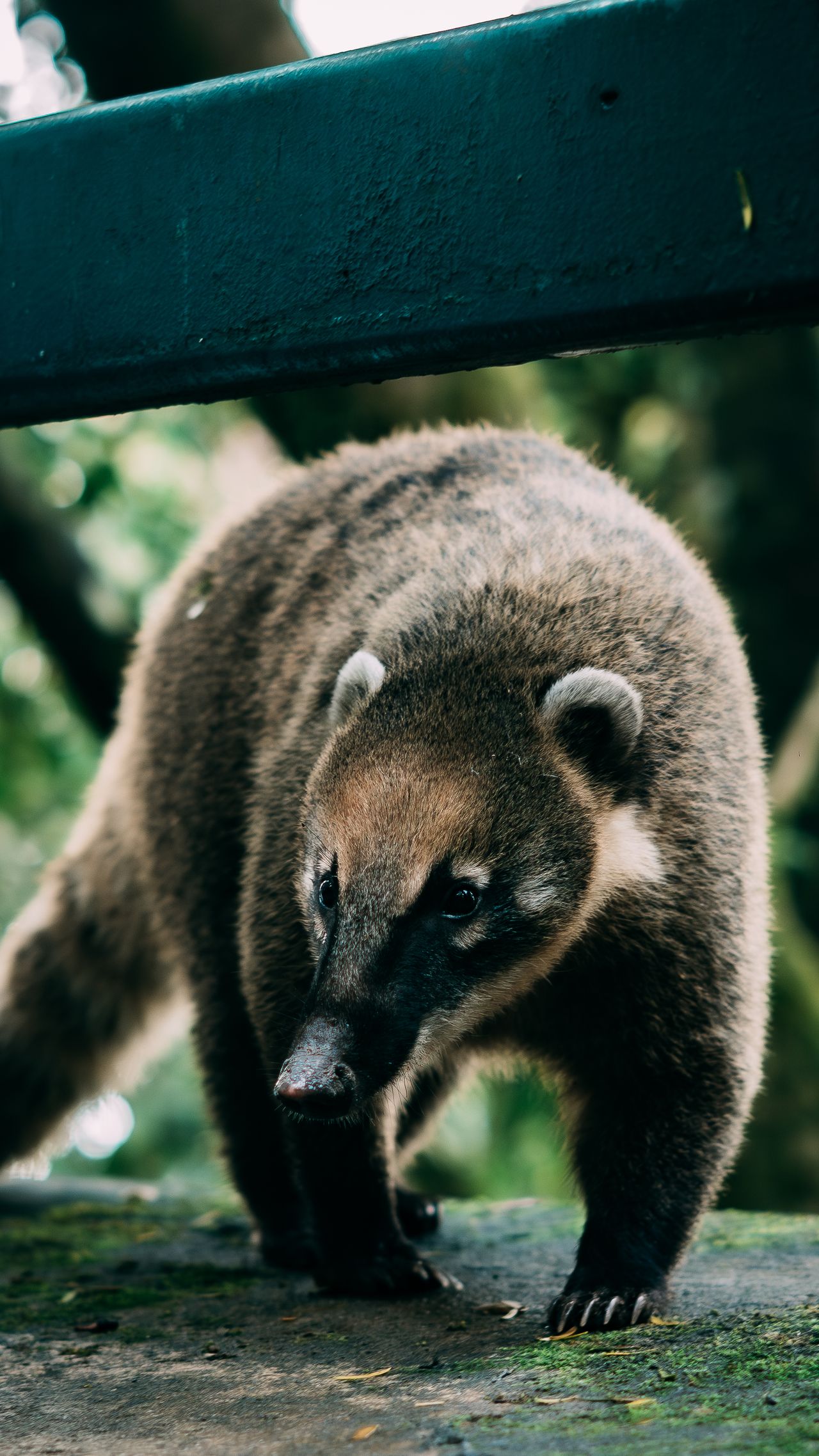 The world's largest wetland and the best place in the Americas to see wildlife