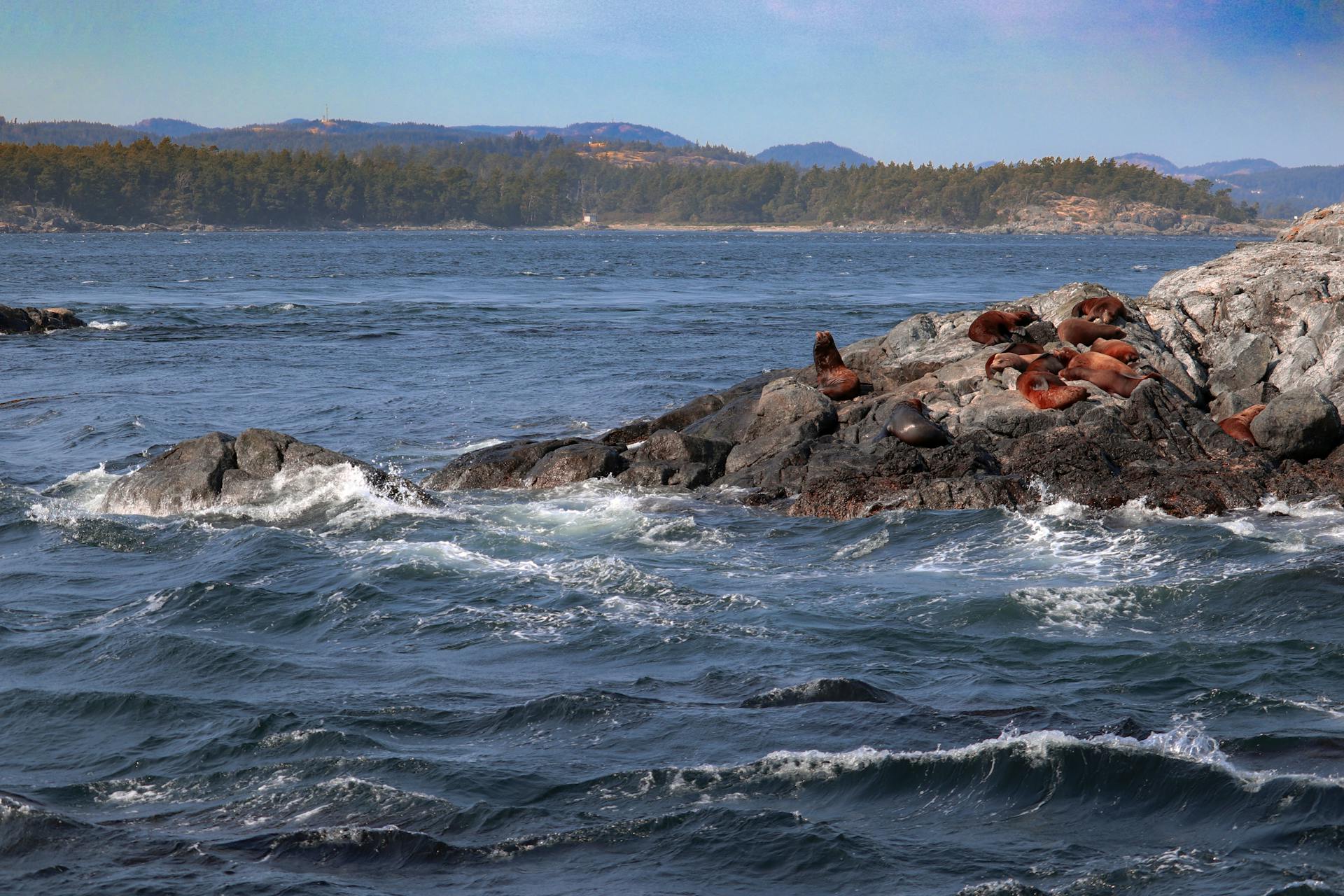 Vancouver and Vancouver Island