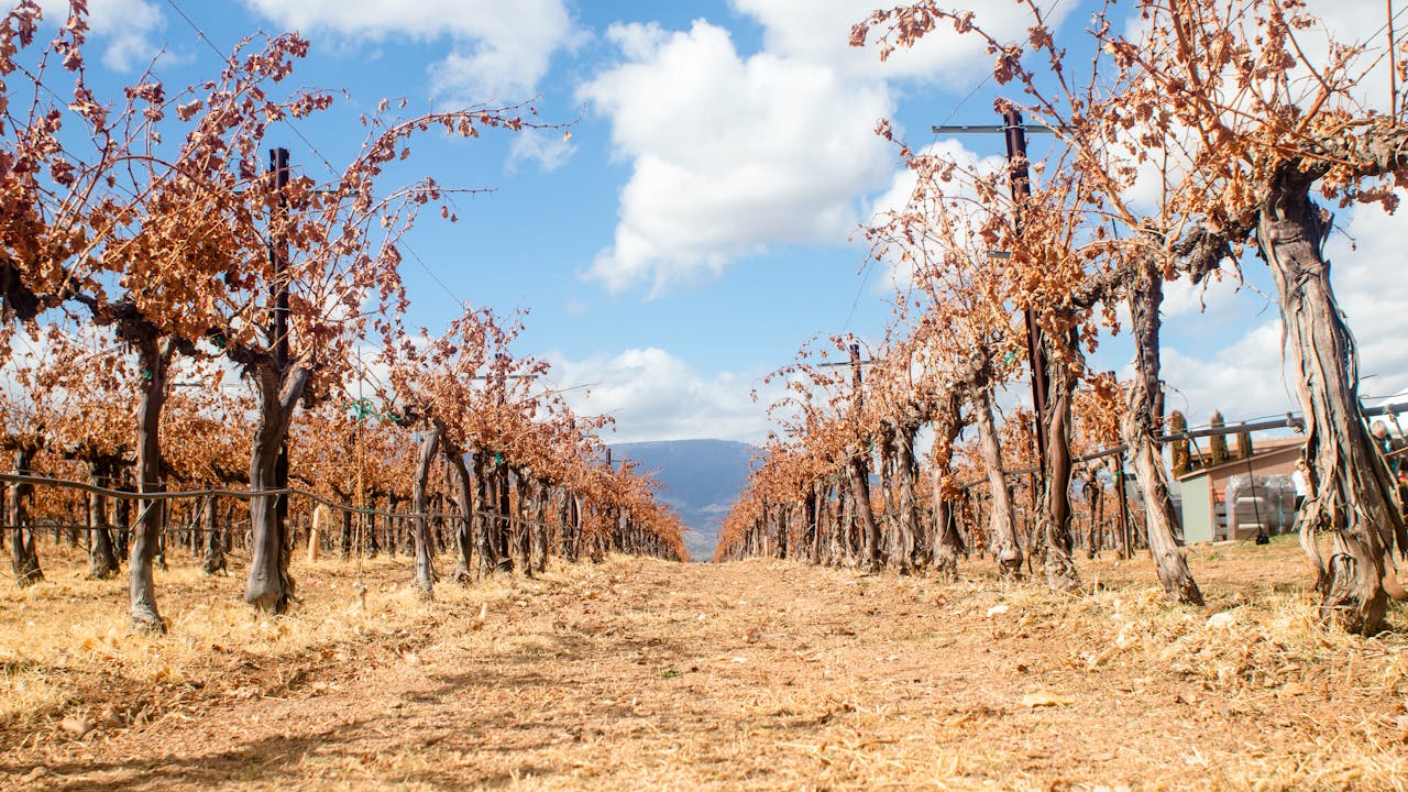 The Colchagua and Casablanca valleys near Santiago