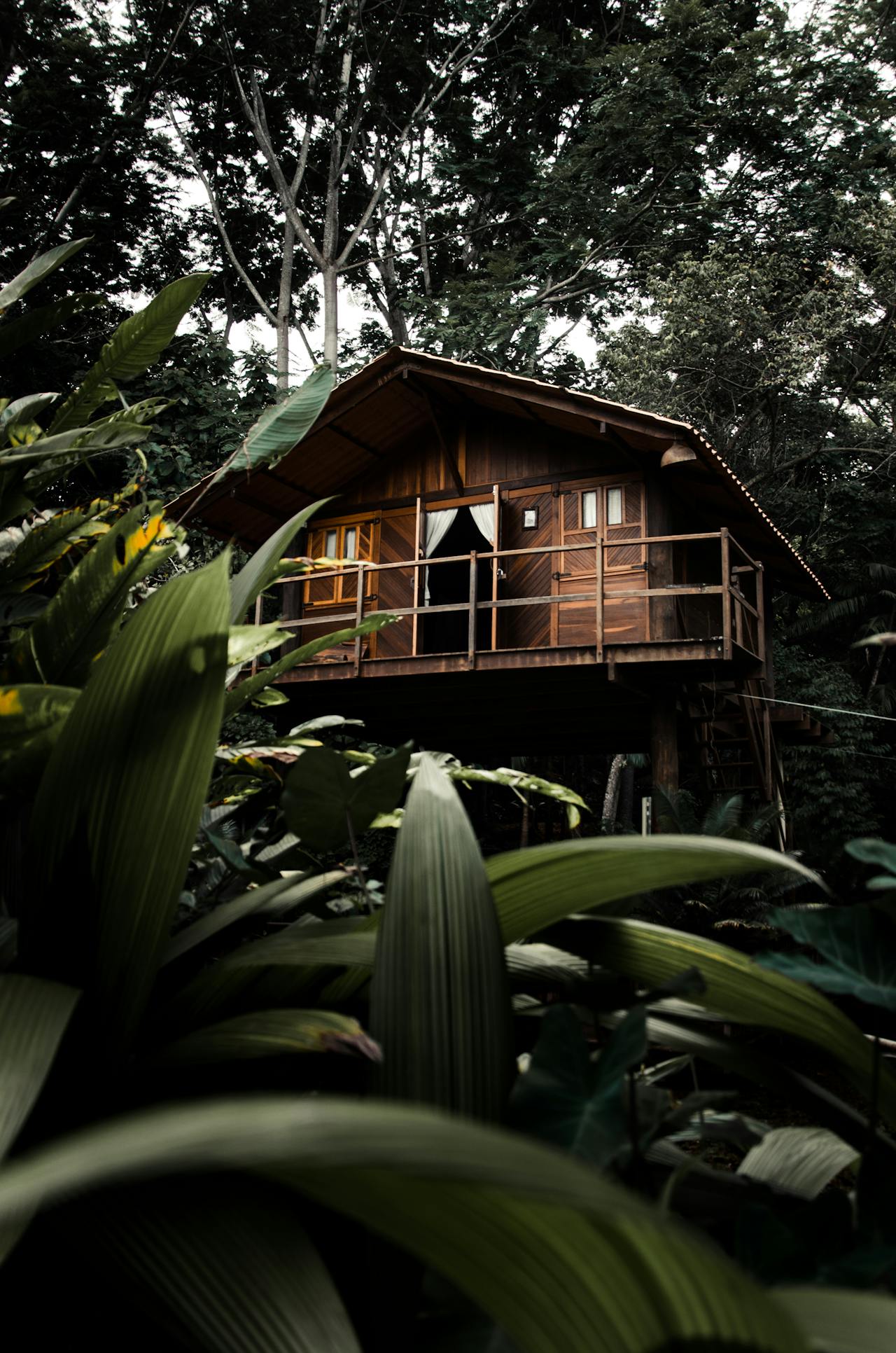 World-leading eco-lodges, national parks and a genuine conservation ethic