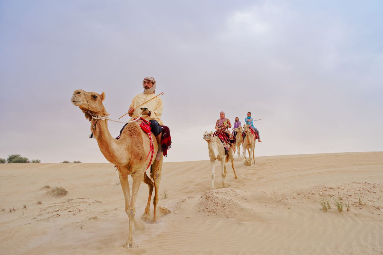 Out into the dunes by 4x4 for dune-bashing, a camel ride and dinner under the stars at a Bedouin-style camp