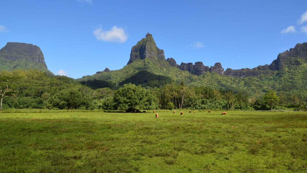 The lush, mountainous main island