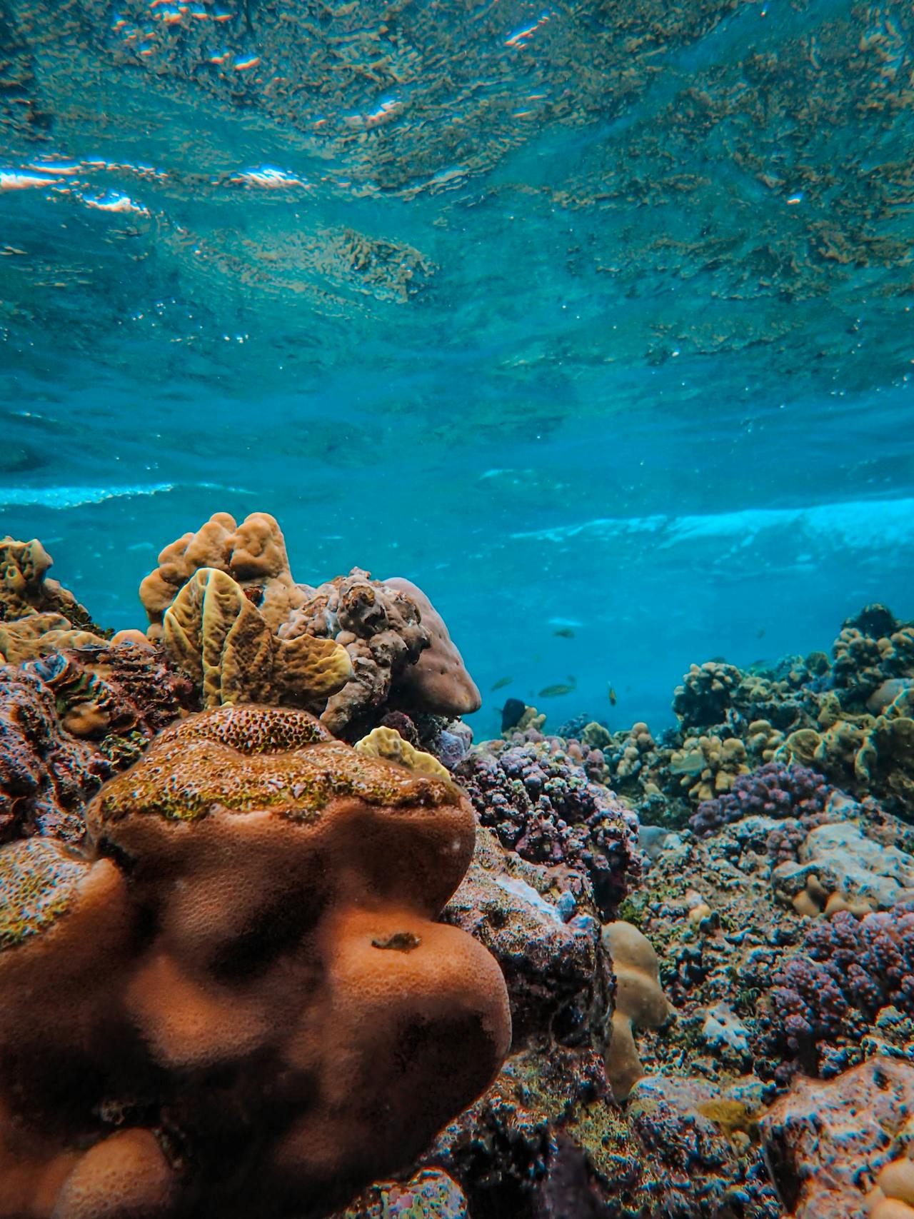 Rangiroa and Fakarava