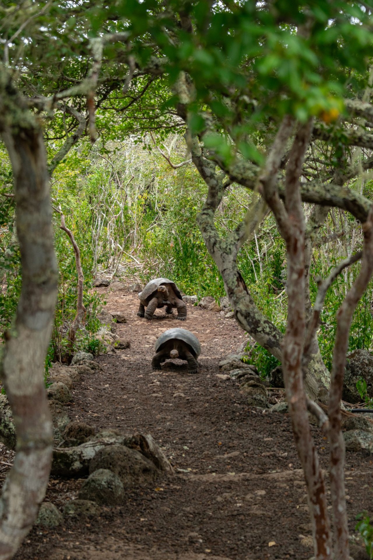 Every visit is led by licensed naturalist guides