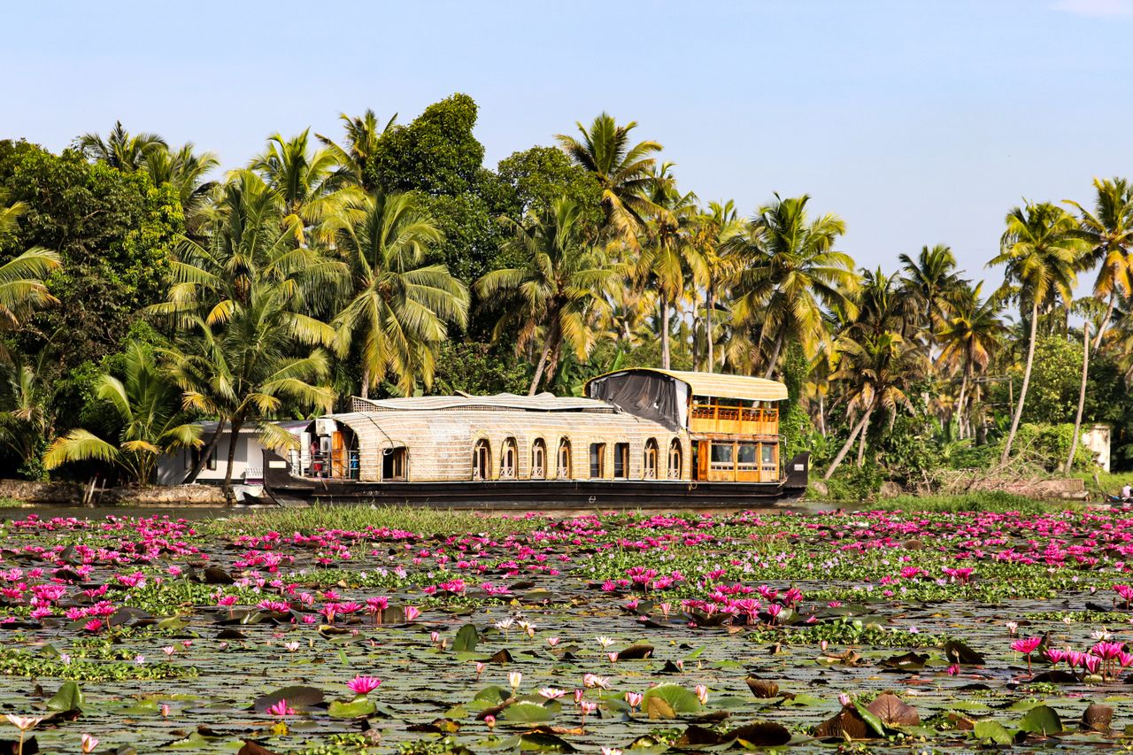 A private houseboat through the palm-fringed waterways of the south, drifting past villages and paddy fields