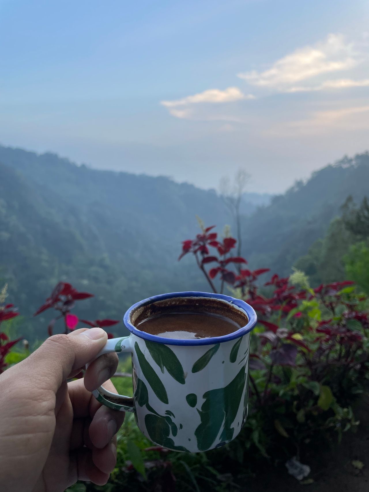 Drive up into the misted Blue Mountains for a tour of the estates that grow one of the world's most…