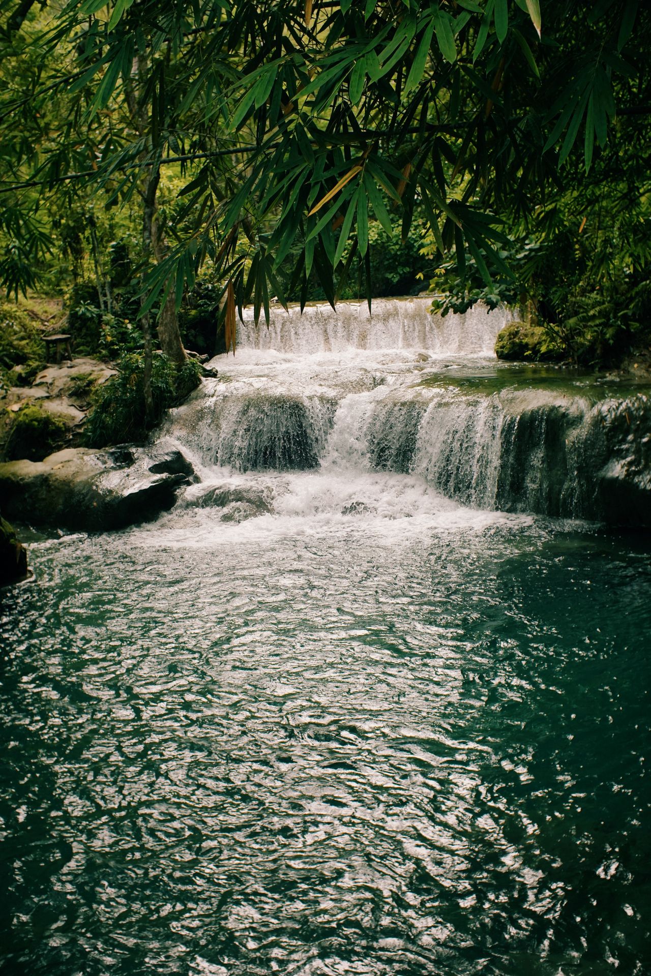 Climb the famous 180-metre tiered waterfall near Ocho Rios, hand-in-hand up cool cascades to the top