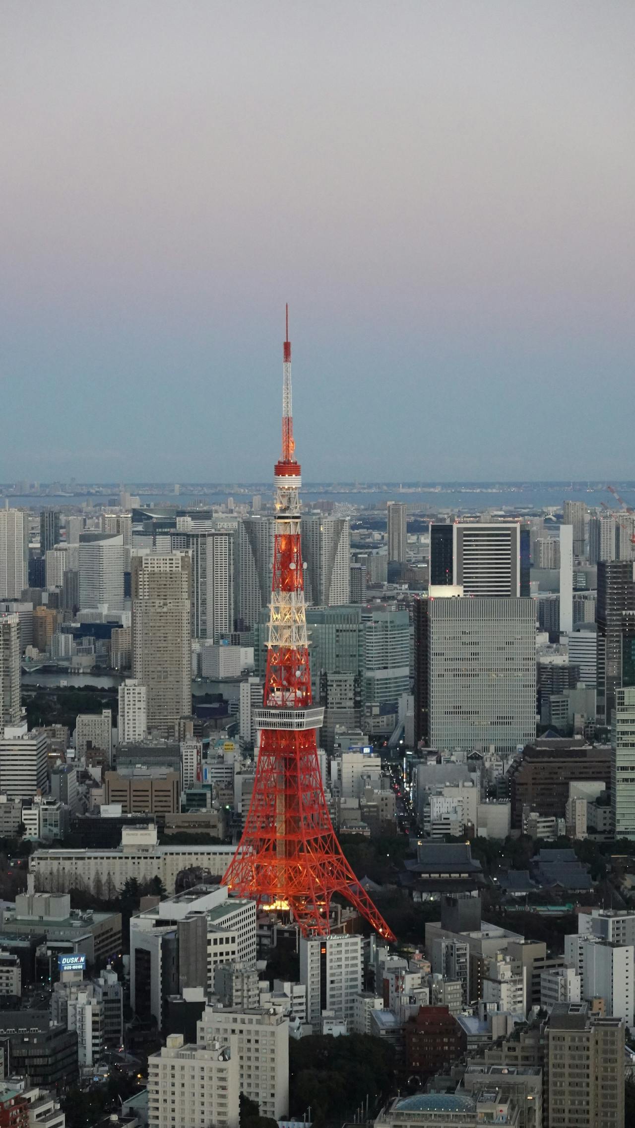 Neon Shibuya, serene shrines, the world's best food at every price, and impeccable order