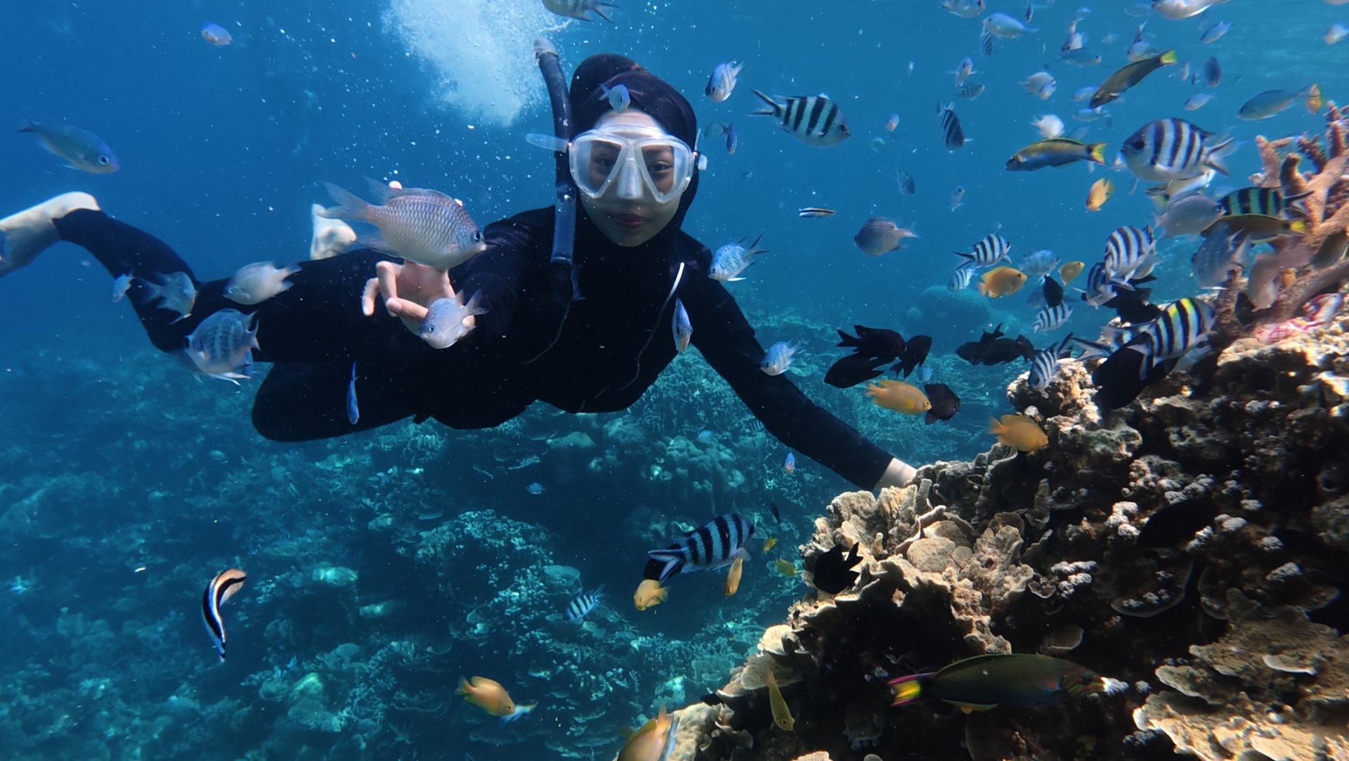 The reefs and walls of Sipadan, off Borneo, rank among the finest dive sites on earth
