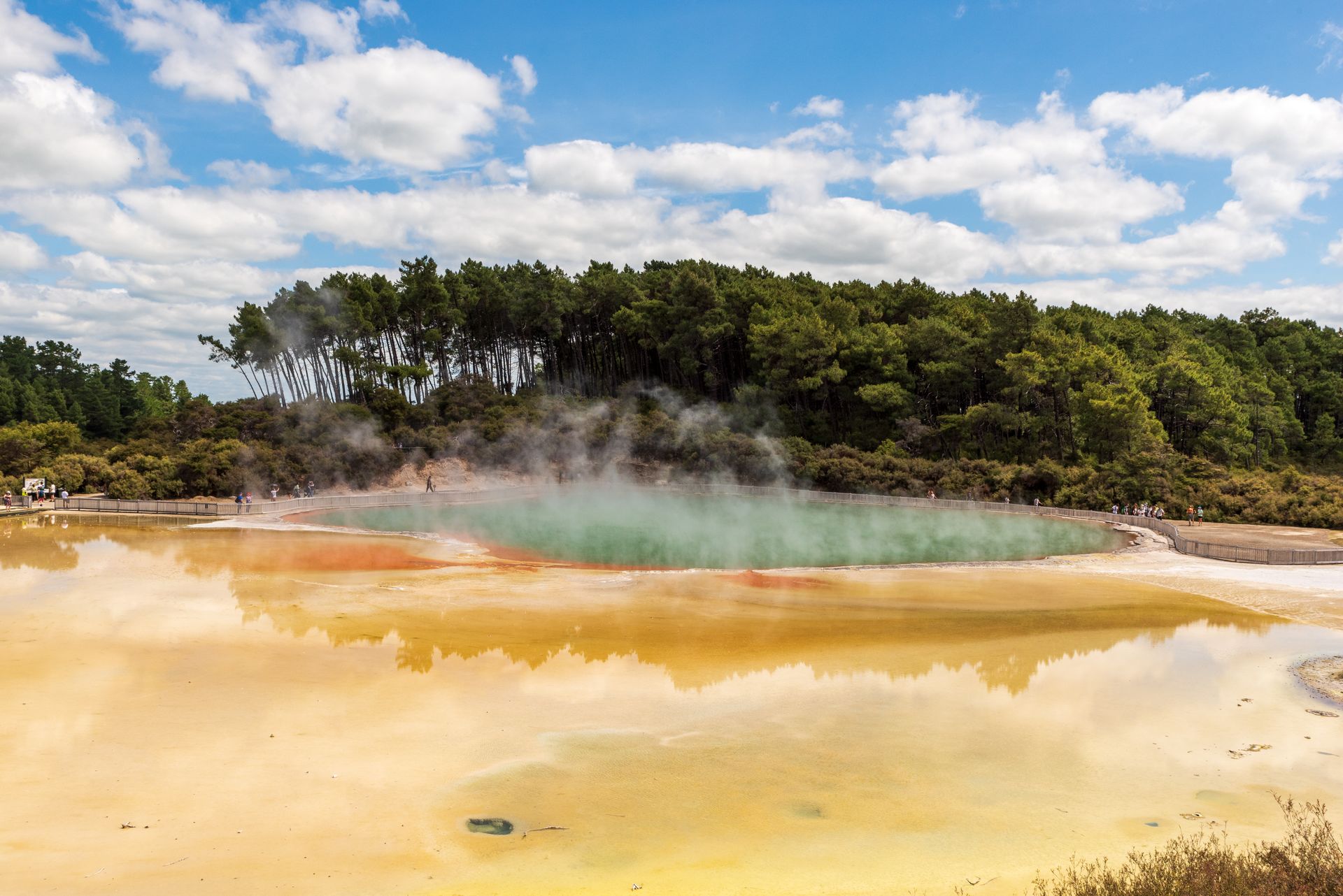Geysers, bubbling mud and a living Maori culture