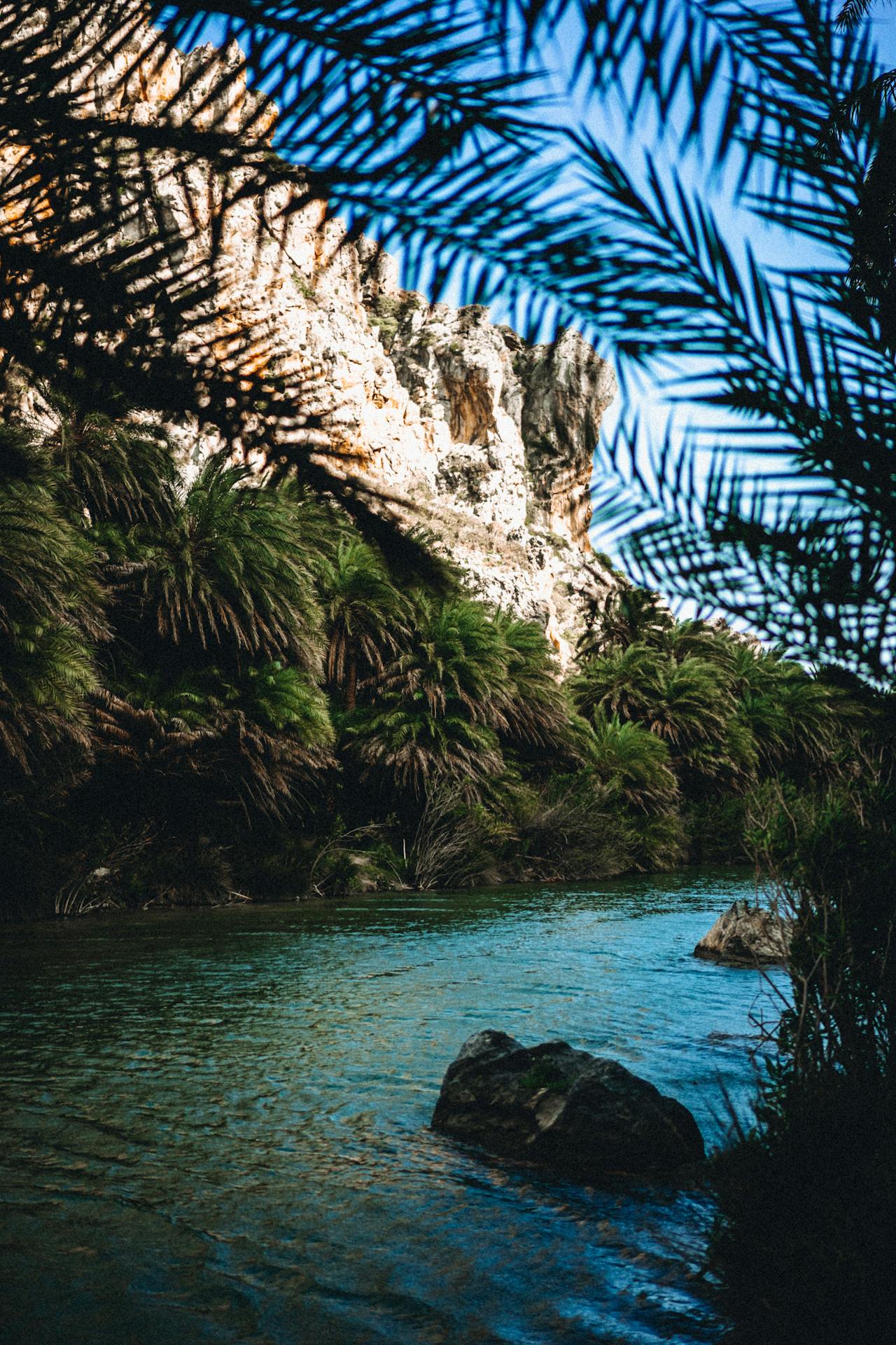 Oman's wadis hide turquoise pools between palm-shaded canyon walls