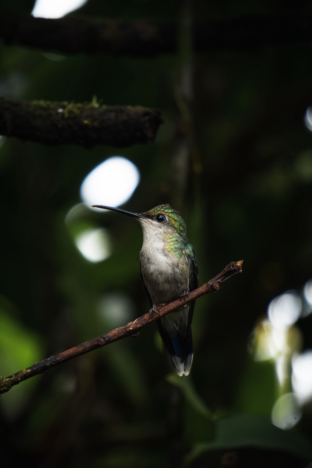 Among the richest birdlife on earth