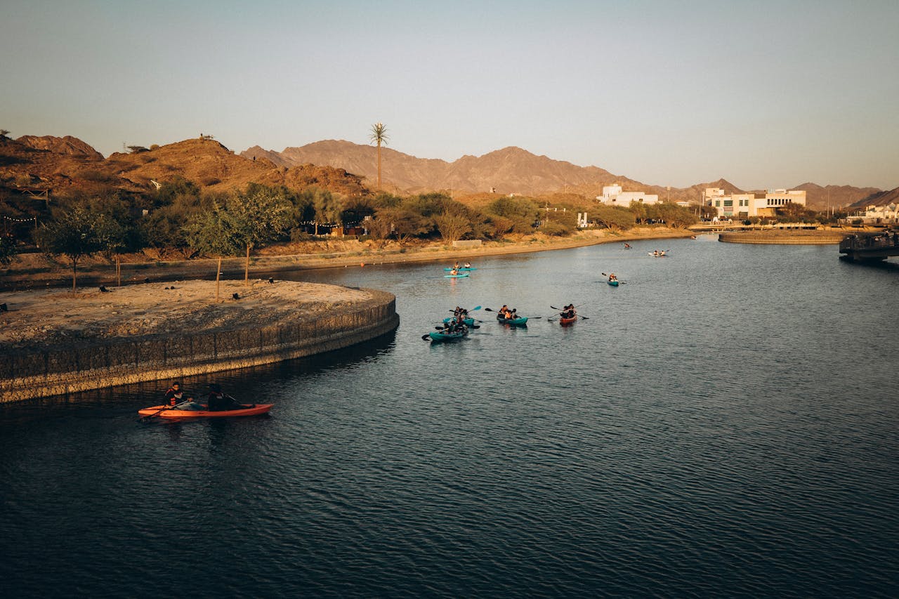 Paddle the coastal mangroves at dawn, gliding past herons and through quiet channels