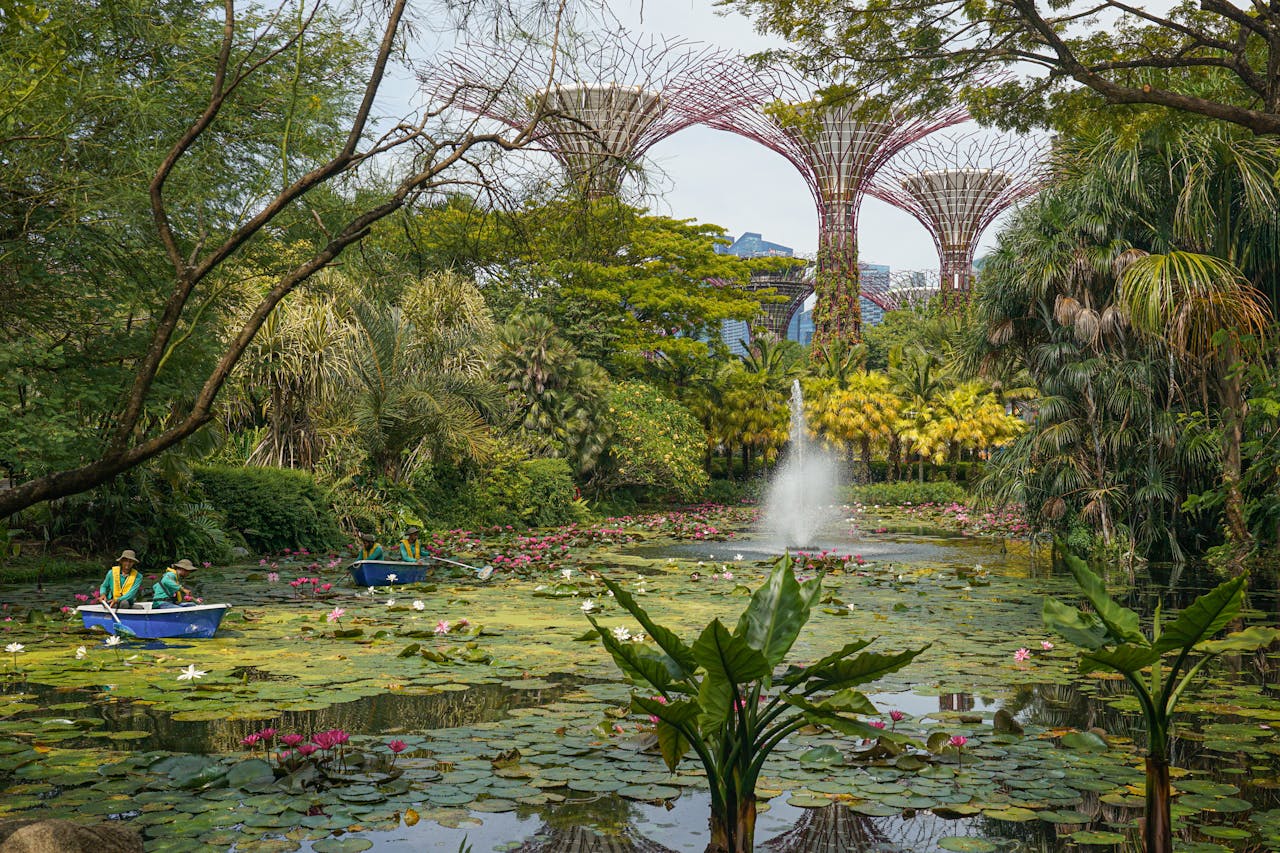 The towering Supertrees and the cloud-forest domes
