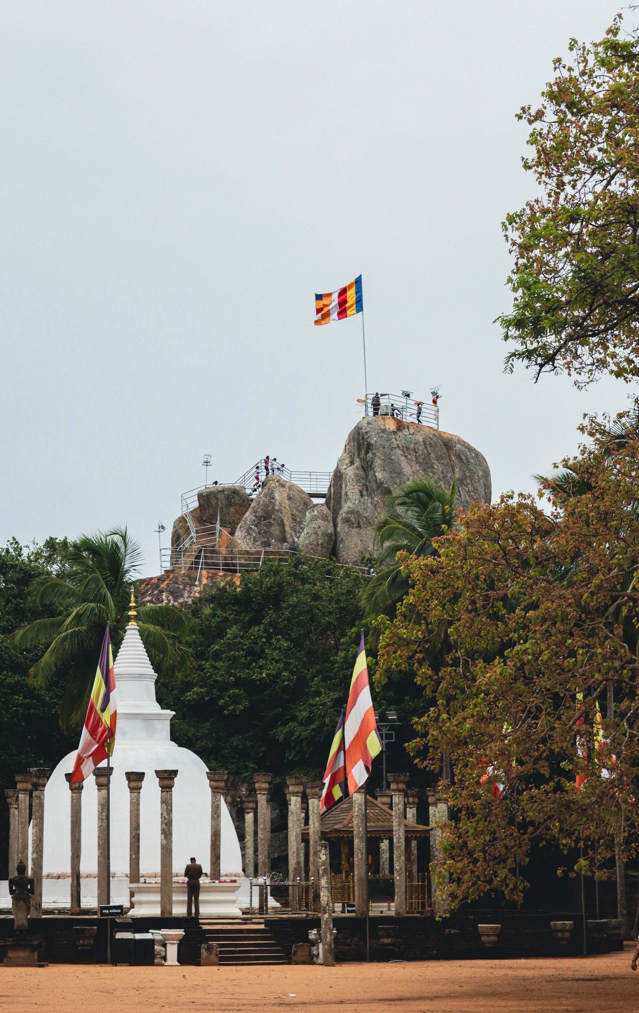 The Lion Rock