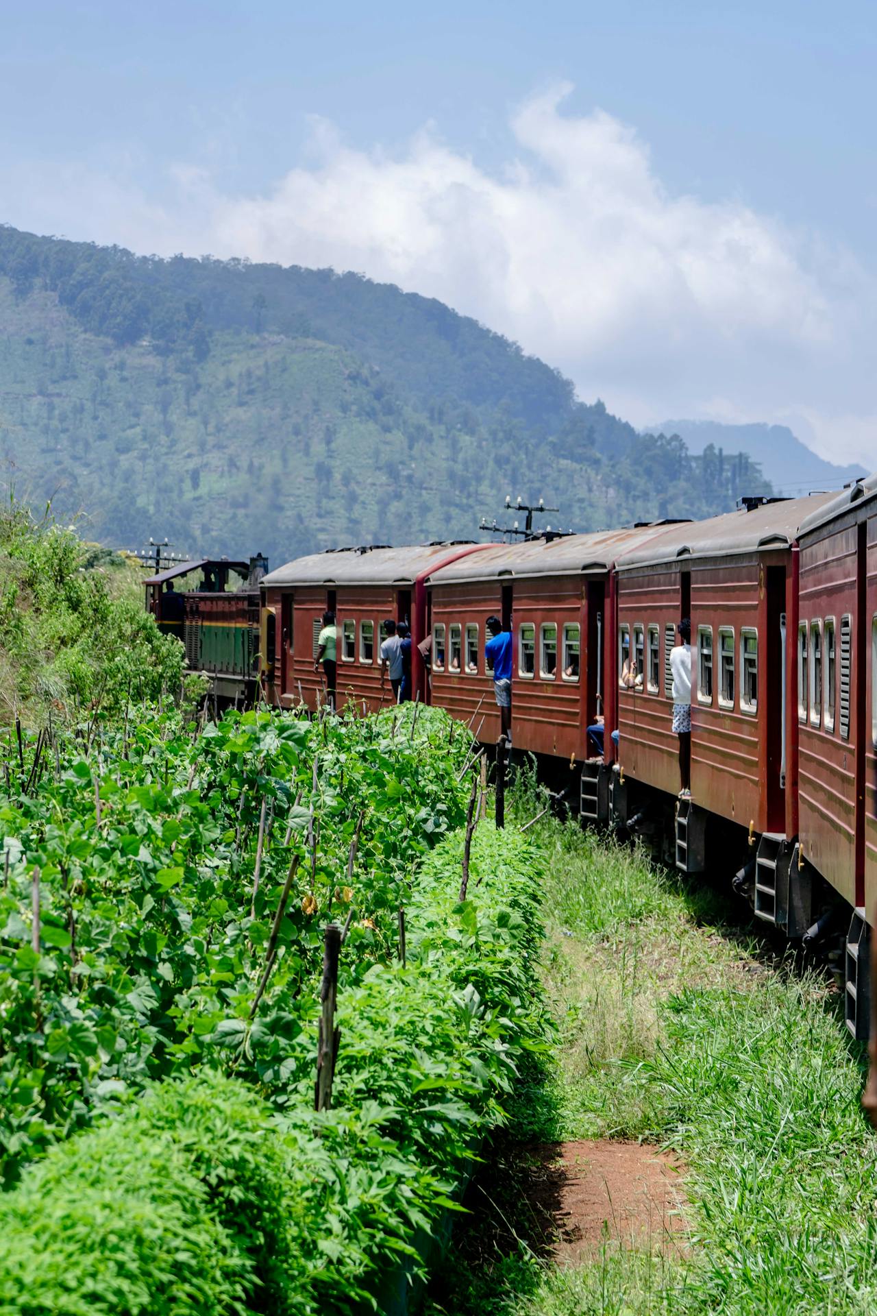 The ride through tea country to Ella ranks among the world's most beautiful railway journeys