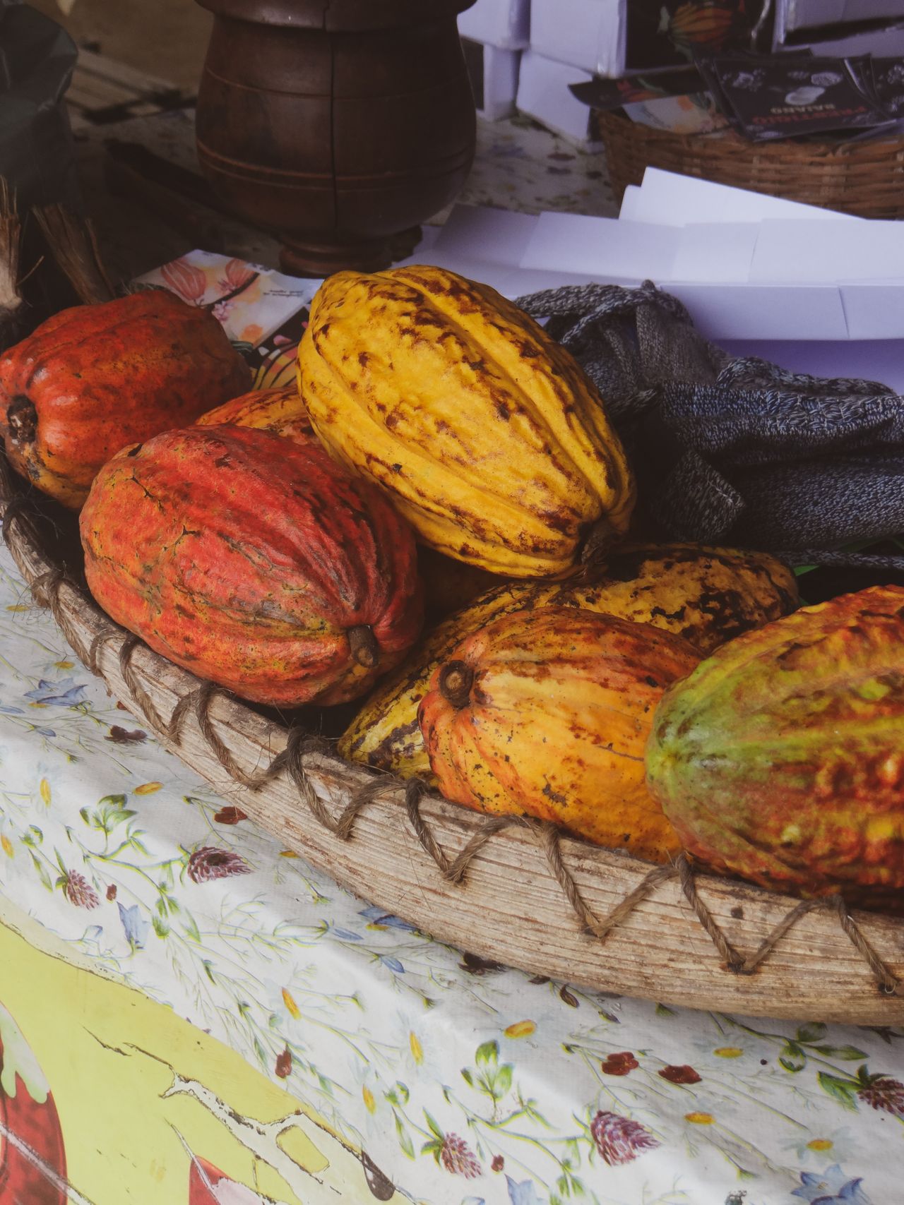 St Lucia's old cocoa estates now make bean-to-bar chocolate