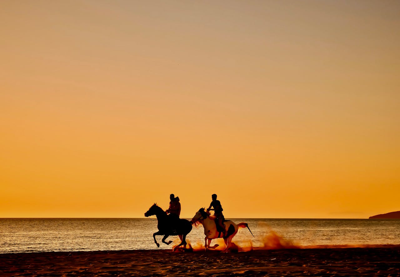 On the quieter side of Provo, a vast shallow flat ideal for kite-surfing and horse-riding through the shallows