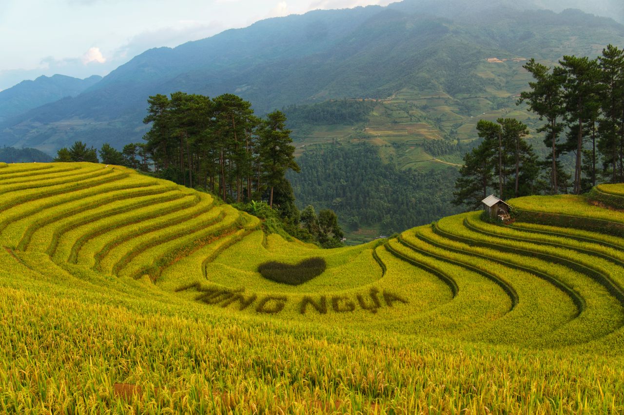 The far north's rice terraces stepping down the hills, home to hill-tribe villages and some of the country's most beautiful,…